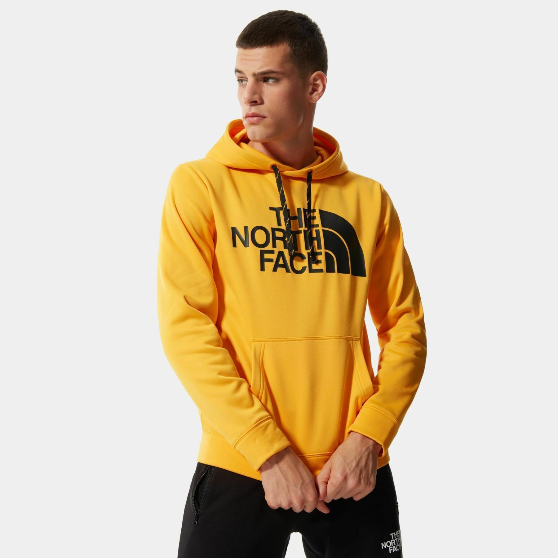 Hoodie The North Face Surgent Halfdome