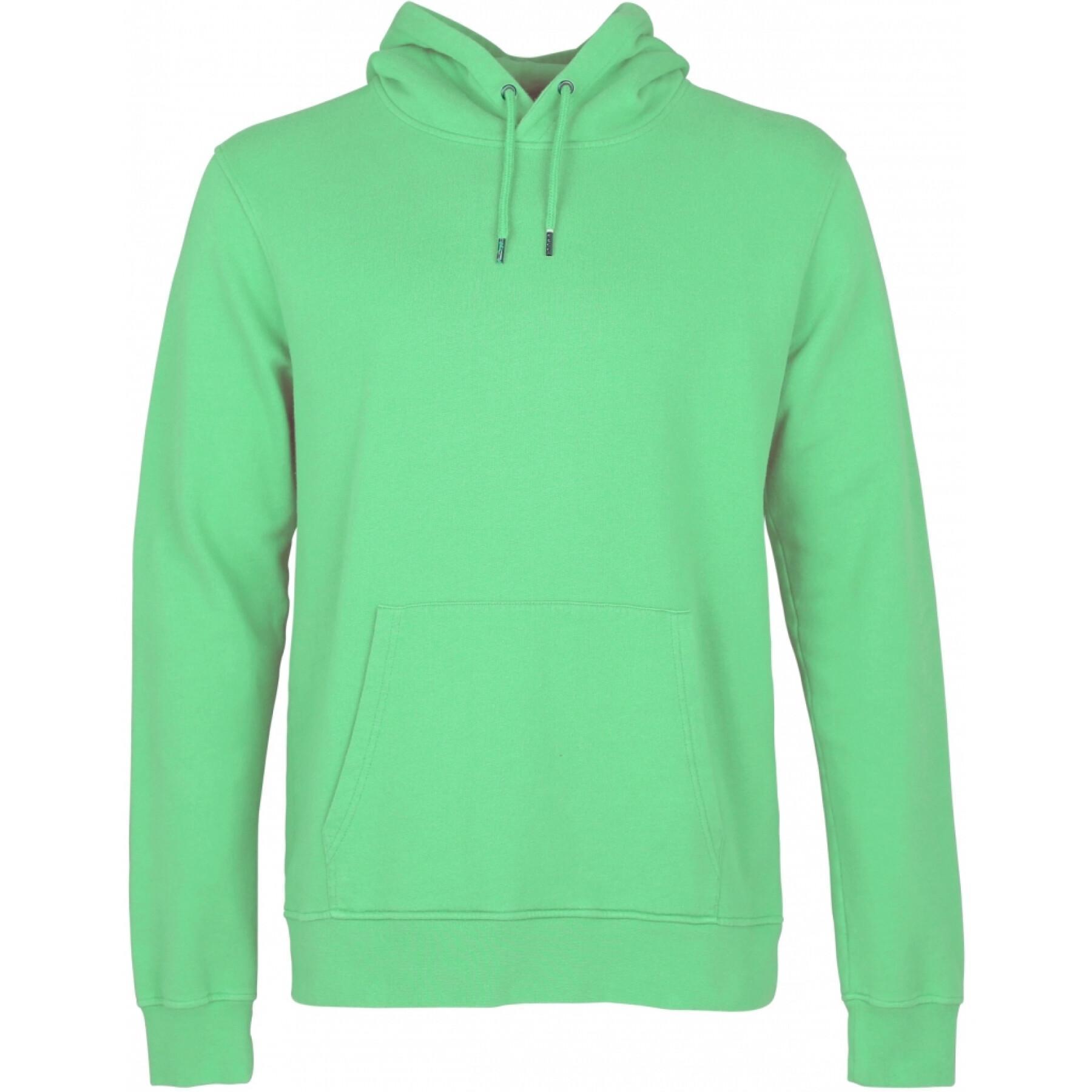 Hoodie Colorful Standard Classic Organic spring green