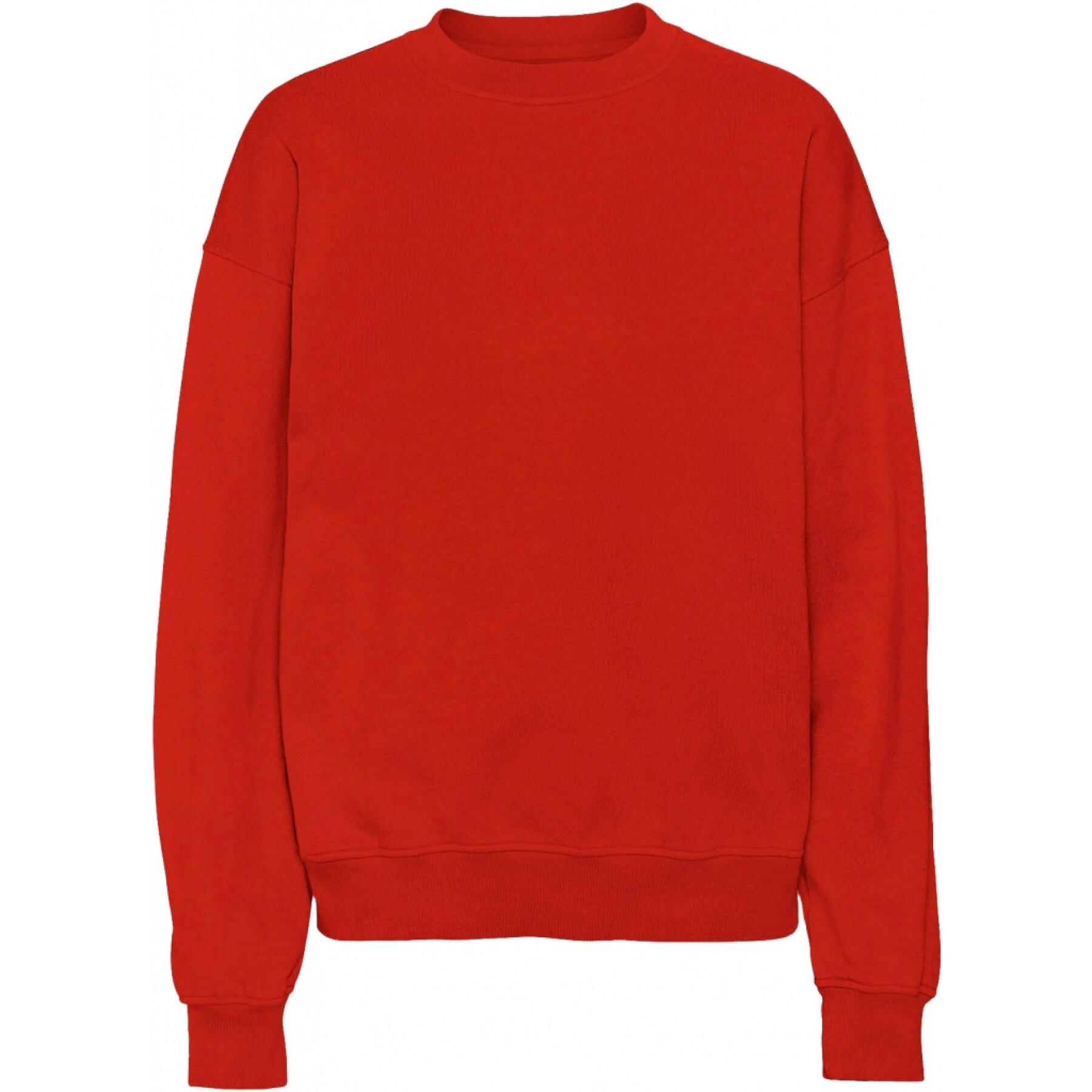 Sweatshirt round neck Colorful Standard Organic oversized scarlet red