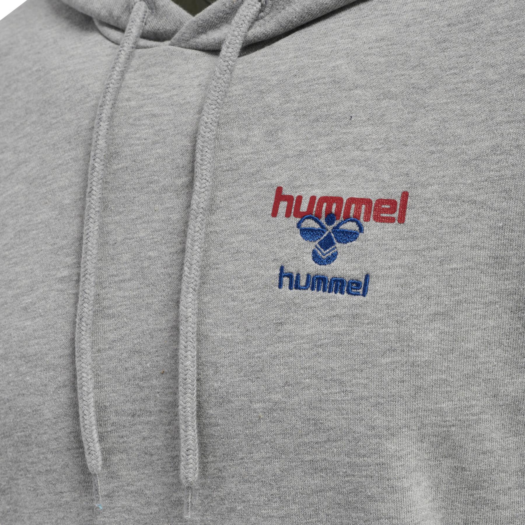 Hooded sweatshirt Hummel IC Dayton