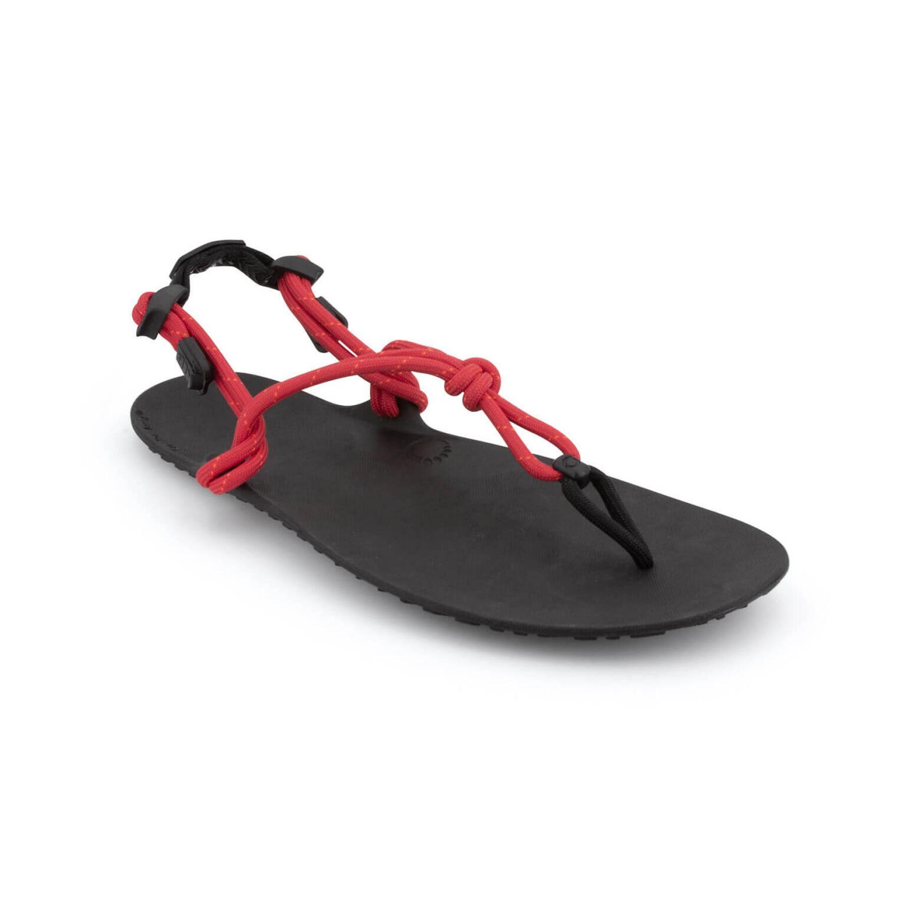 Sandals Xero Shoes Genesis - Faguo - Top Brands - Men