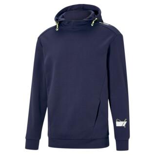 Hooded sweatshirt Puma Rad/Cal