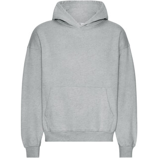 Oversized hooded sweatshirt Colorful Standard Organic
