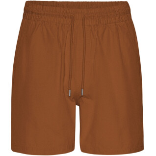 Twill shorts Colorful Standard Organic Twill Ginger Brown