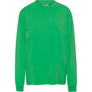 Long sleeve T-shirt Colorful Standard Organic oversized kelly green