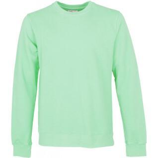 Sweatshirt round neck Colorful Standard Classic Organic faded mint