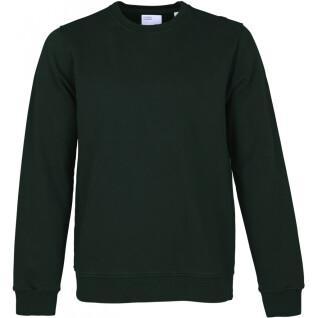 Sweatshirt round neck Colorful Standard Classic Organic hunter green