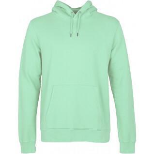 Hoodie Colorful Standard Classic Organic faded mint