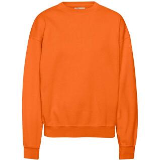Sweatshirt round neck Colorful Standard Organic oversized burned orange
