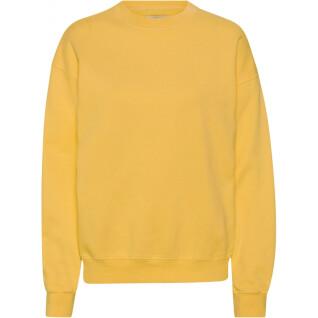 Sweatshirt round neck Colorful Standard Organic oversized burned yellow