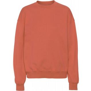 Sweatshirt round neck Colorful Standard Organic oversized dark amber