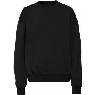 Sweatshirt round neck Colorful Standard Organic oversized deep black