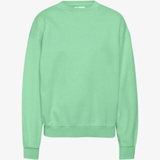 Sweatshirt round neck Colorful Standard Organic oversized faded mint