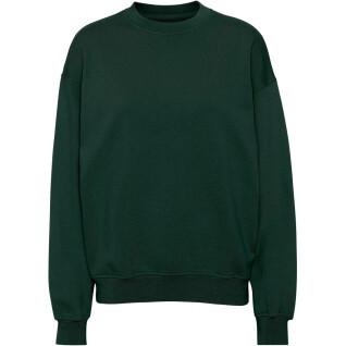 Sweatshirt round neck Colorful Standard Organic oversized hunter green