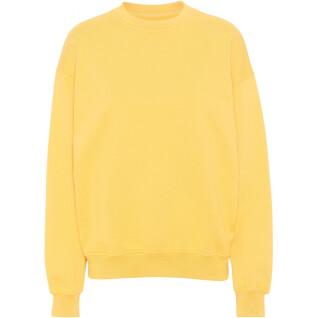 Sweatshirt round neck Colorful Standard Organic oversized lemon yellow