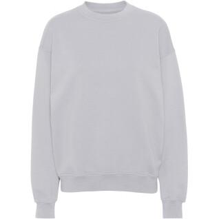 Sweatshirt round neck Colorful Standard Organic oversized limestone grey