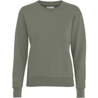 Women's round neck sweater Colorful Standard Classic Organic dusty olive