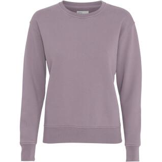 Women's round neck sweater Colorful Standard Classic Organic purple haze