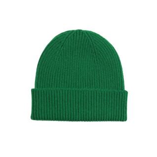 Woolen hat Colorful Standard Merino kelly green