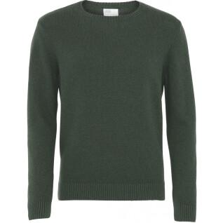 Wool round neck sweater Colorful Standard Classic Merino emerald green