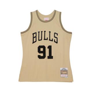 Jersey Chicago Bulls Dennis Rodman 1997/98