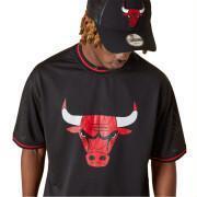 Short sleeve T-shirt Chicago Bulls Mesh Logo