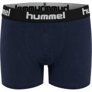 Children's boxer shorts Hummel hmlNOLAN (x2)