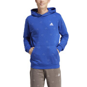 Hooded sweatshirt adidas Seasonal Essentials Monogram Graphic