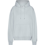 Hooded sweatshirt Colorful Standard Classic Organic Cloudy Grey