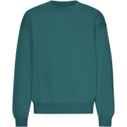 Oversized round-neck sweatshirt Colorful Standard Organic Ocean Green
