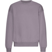 Oversized round-neck sweatshirt Colorful Standard Organic Purple Haze
