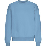 Oversized round-neck sweatshirt Colorful Standard Organic Seaside Blue