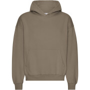 Oversized hooded sweatshirt Colorful Standard Organic Cedar Brown