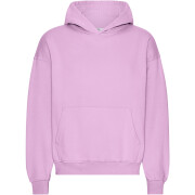 Oversized hooded sweatshirt Colorful Standard Organic Cherry Blossom