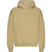 Oversized hooded sweatshirt Colorful Standard Organic Desert Khaki