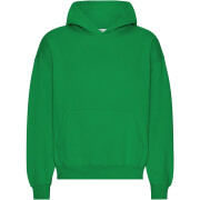 Oversized hooded sweatshirt Colorful Standard Organic Kelly Green