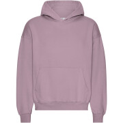 Oversized hooded sweatshirt Colorful Standard Organic Pearly Purple