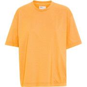 Oversized T-shirt Colorful Standard Organic