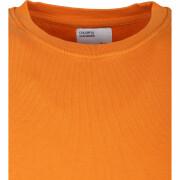 Sweatshirt round neck Colorful Standard Classic Organic burned orange
