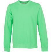 Sweatshirt round neck Colorful Standard Classic Organic spring green