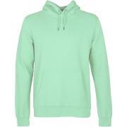 Hoodie Colorful Standard Classic Organic faded mint