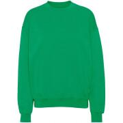 Sweatshirt round neck Colorful Standard Organic oversized kelly green