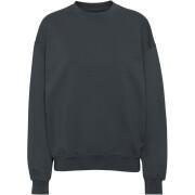 Sweatshirt round neck Colorful Standard Organic oversized lava grey