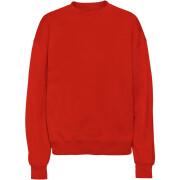 Sweatshirt round neck Colorful Standard Organic oversized scarlet red
