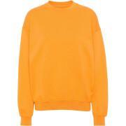 Sweatshirt round neck Colorful Standard Organic oversized sunny orange