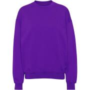 Sweatshirt round neck Colorful Standard Organic oversized ultra violet