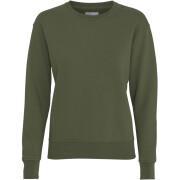 Women's round neck sweater Colorful Standard Classic Organic seaweed green