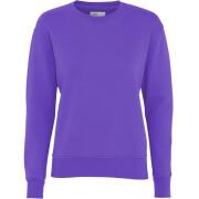 Women's round neck sweater Colorful Standard Classic Organic ultra violet