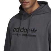 Hoodie adidas Kaval Graphic