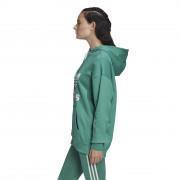 Women's hooded sweatshirt adidas originals Adicolor